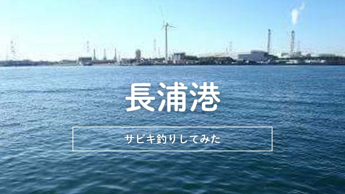 アイキャッチ｜長浦港サビキ釣り