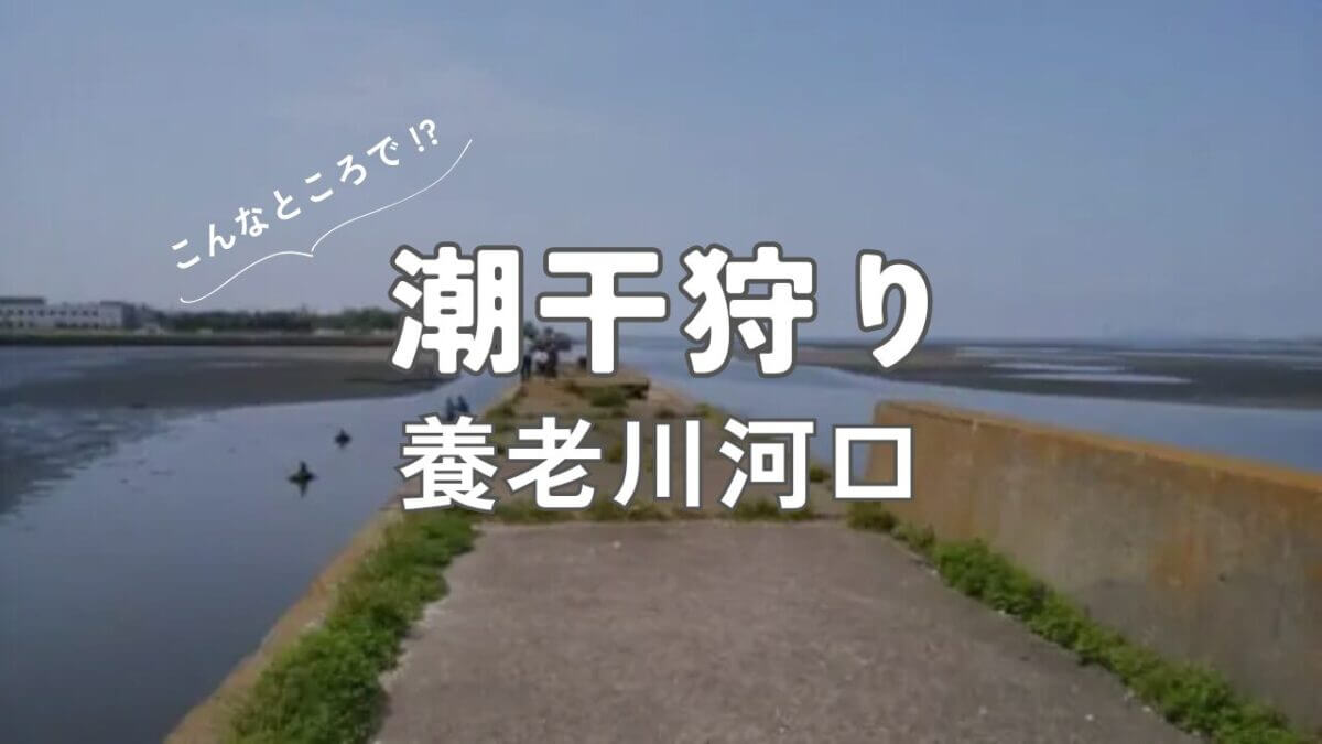 アイキャッチ｜潮干狩り（養老川）