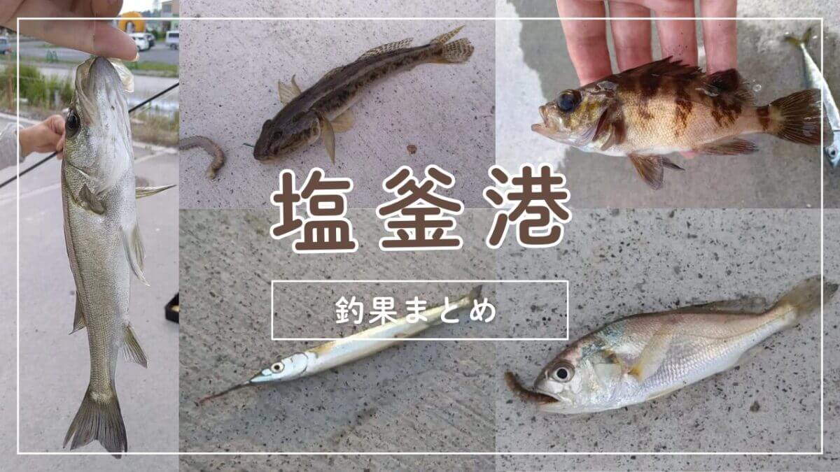 塩釜港2018夏釣果まとめ