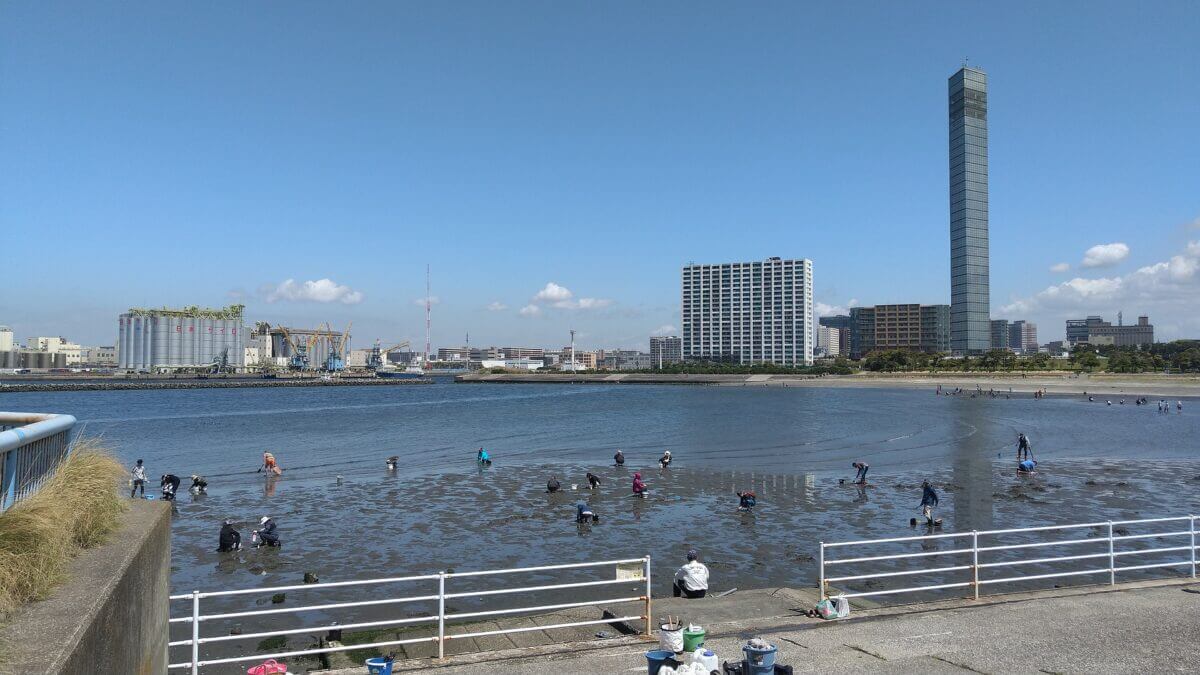 2025年｜千葉ポートパーク潮干狩り