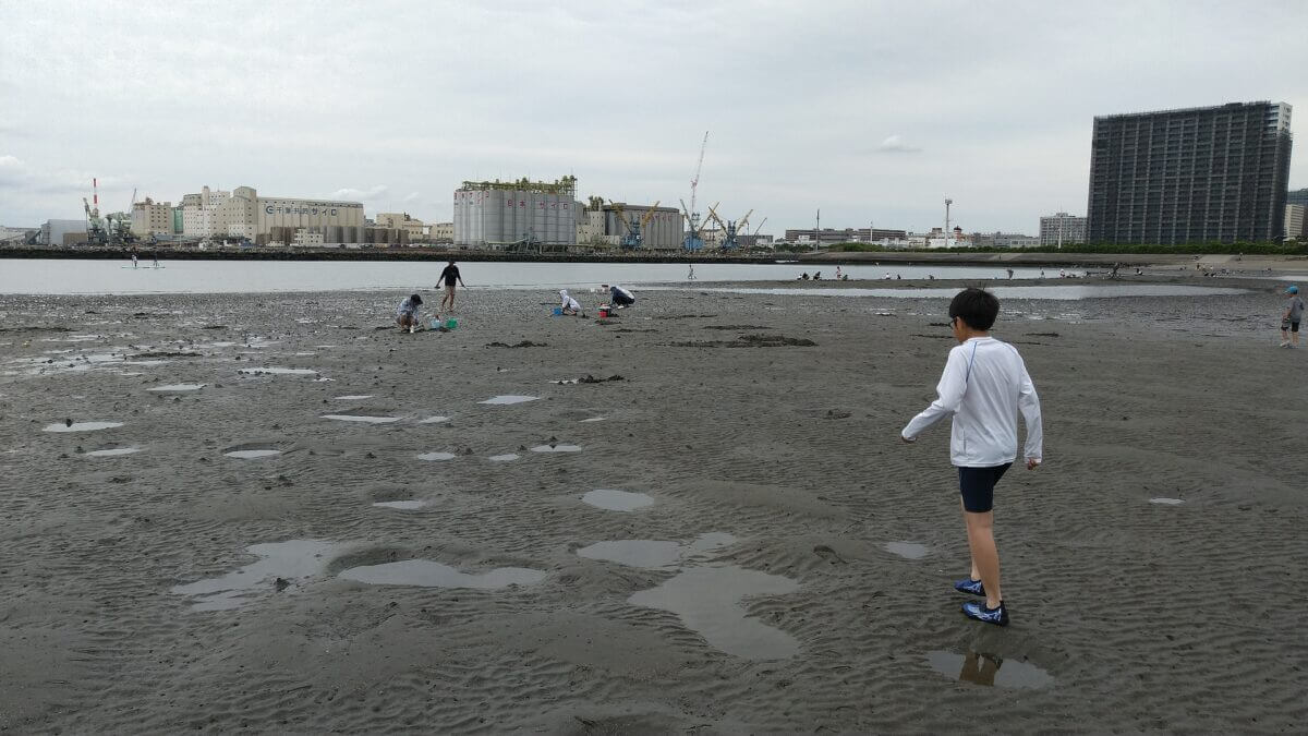 20250526_千葉ポートパーク｜マテガイ