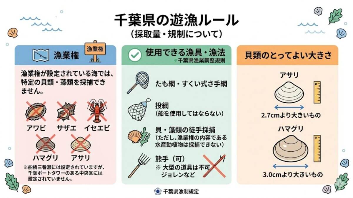 図解｜千葉県の遊漁ルール（潮干狩り）