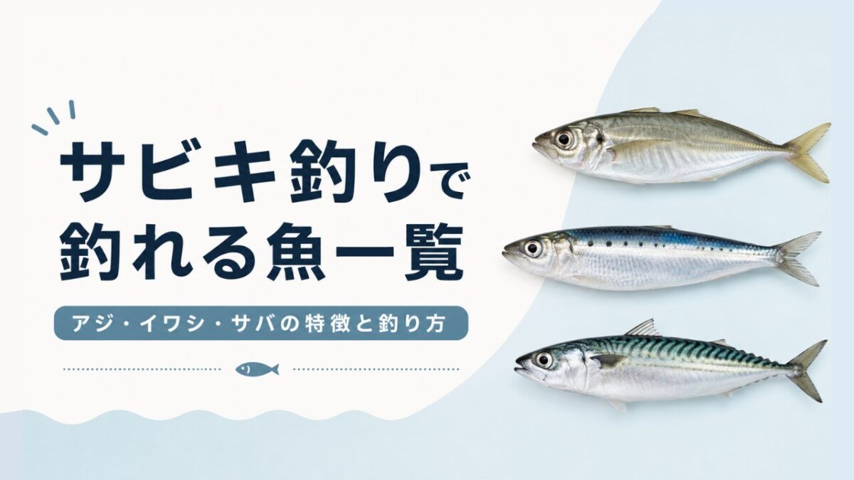 アイキャッチ｜サビキ釣りで釣れる魚