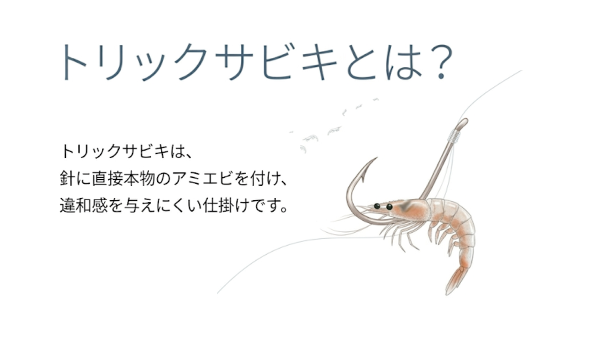 イメージ｜トリックサビキ仕掛けのイメージ
